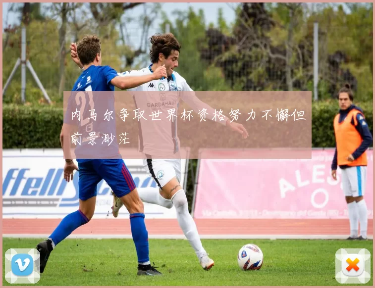 内马尔争取世界杯资格努力不懈但前景渺茫